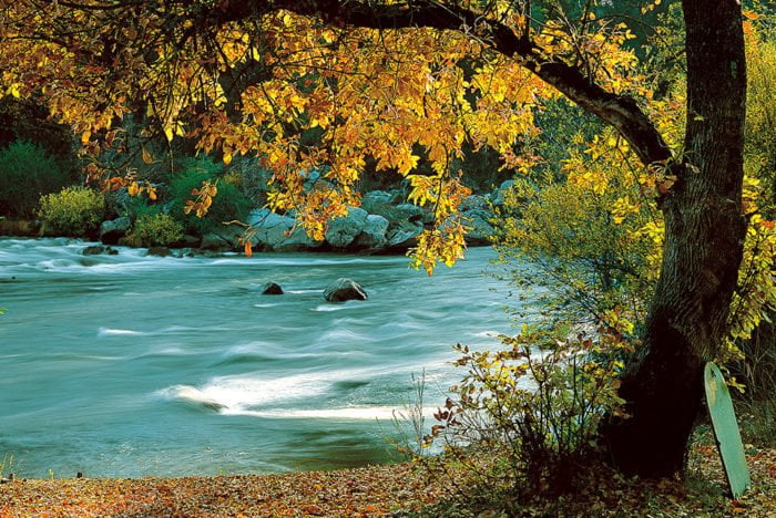 Mother Lode Eddy w/skim board.