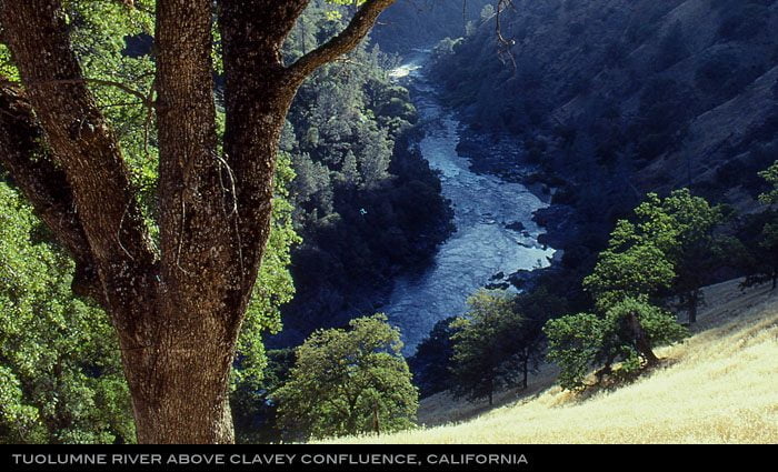 Main Tuolumne River by Tim Palmer