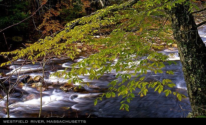 Westfield River in Massachusetts