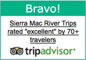 150+ Likes on Trip Advisor